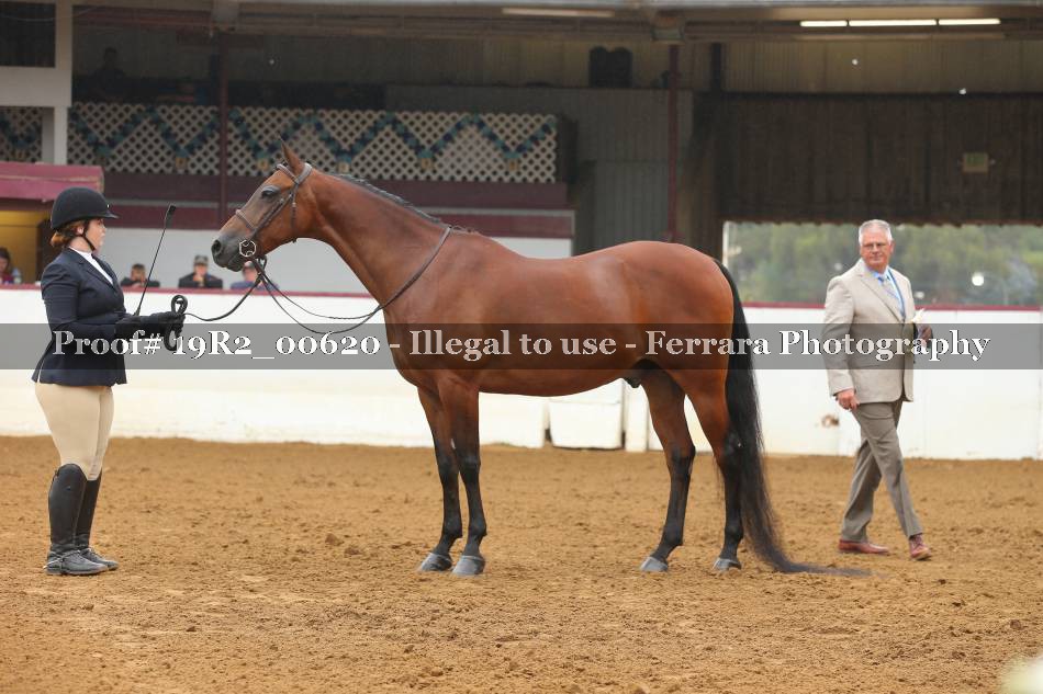 Proof 19R2_00620