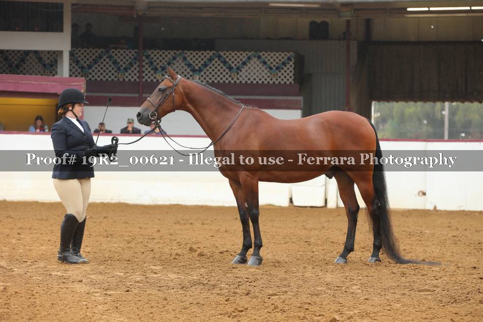 Proof 19R2_00621