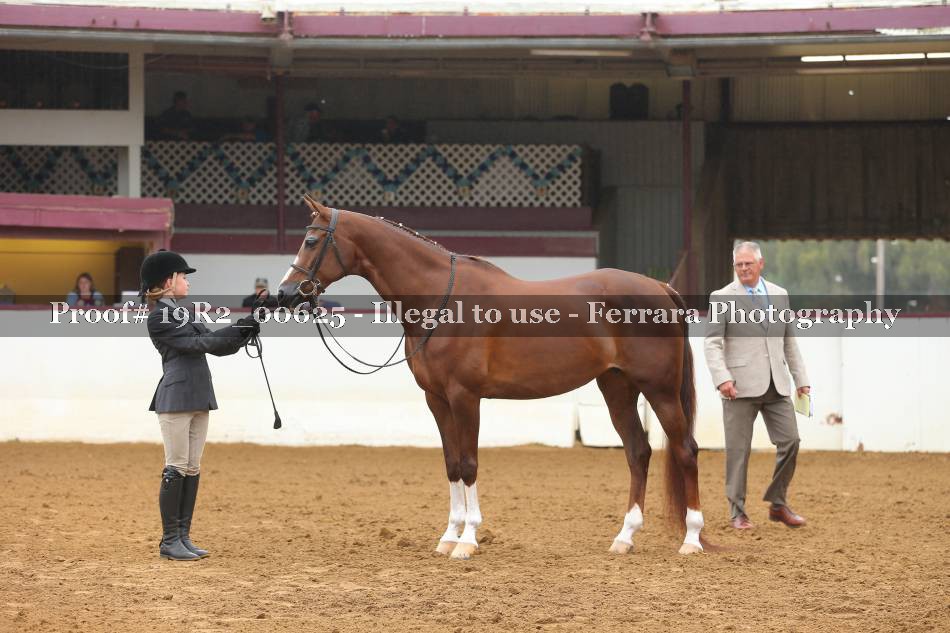 Proof 19R2_00625