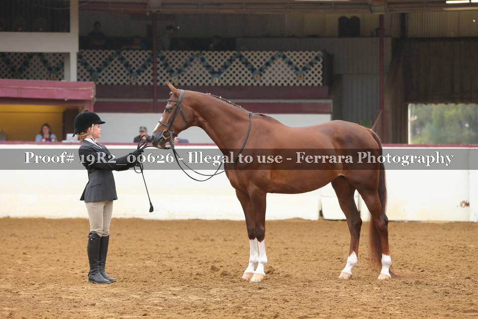 Proof 19R2_00626