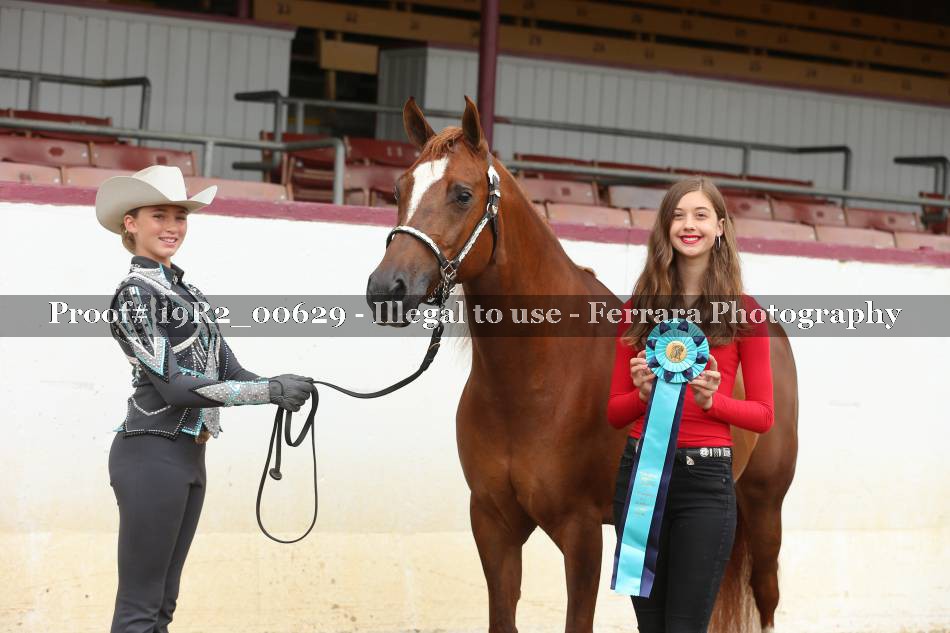 Proof 19R2_00629