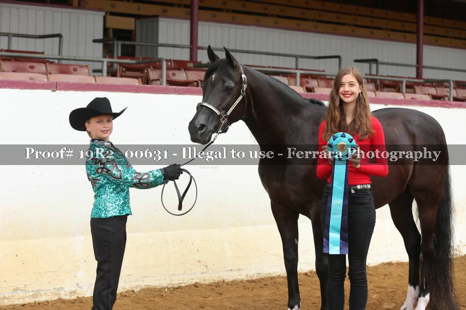Proof 19R2_00631