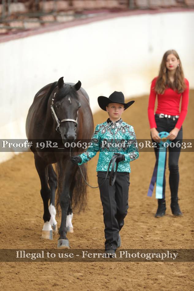 Proof 19R2_00632
