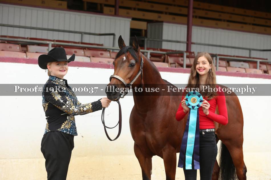 Proof 19R2_00637