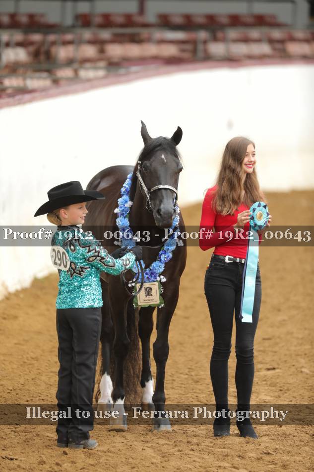 Proof 19R2_00643