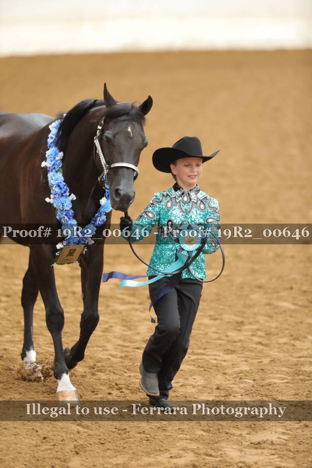 Proof 19R2_00646