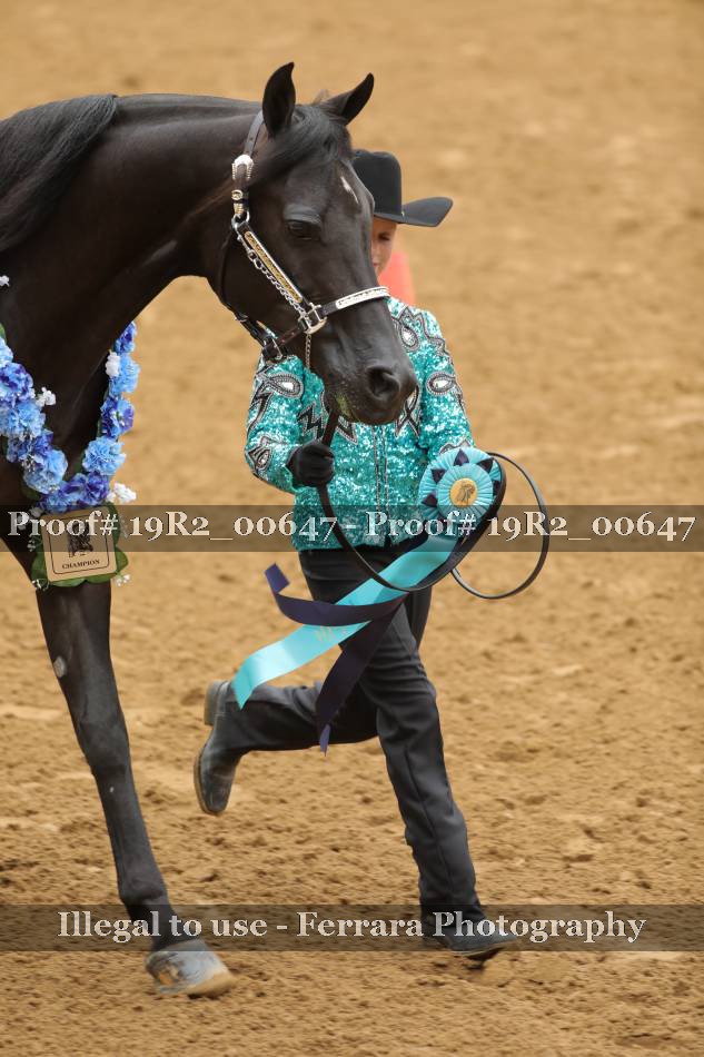 Proof 19R2_00647