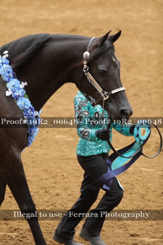 Proof 19R2_00648