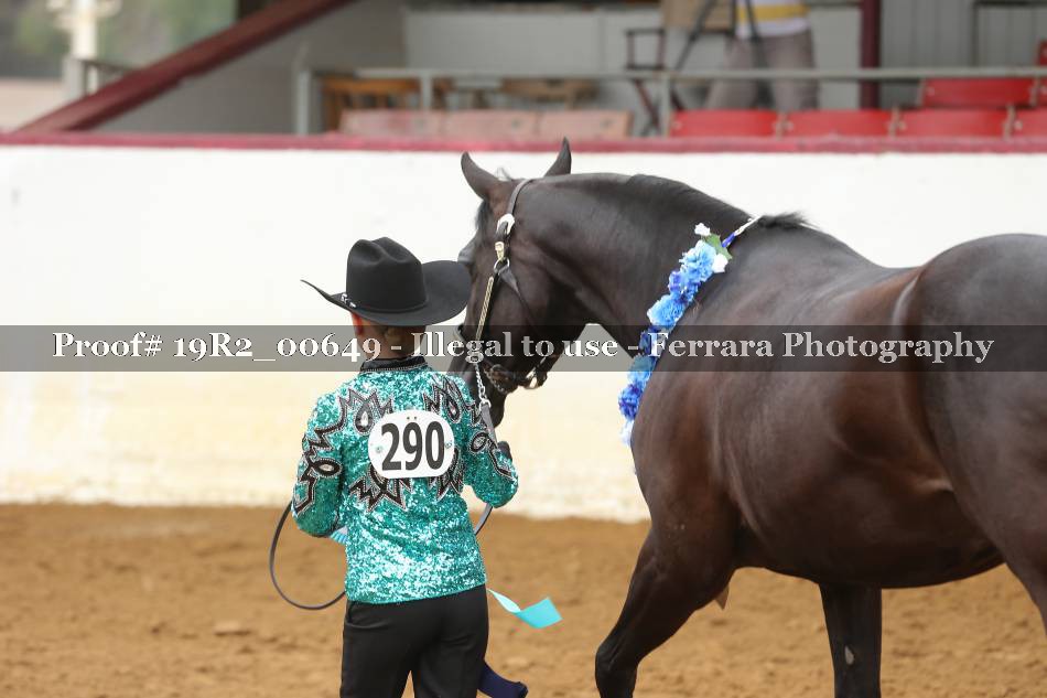 Proof 19R2_00649
