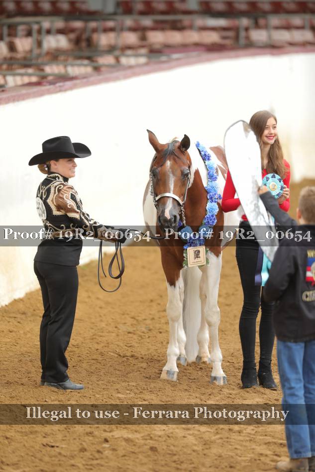 Proof 19R2_00654