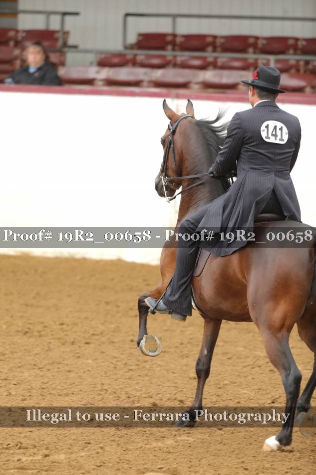 Proof 19R2_00658