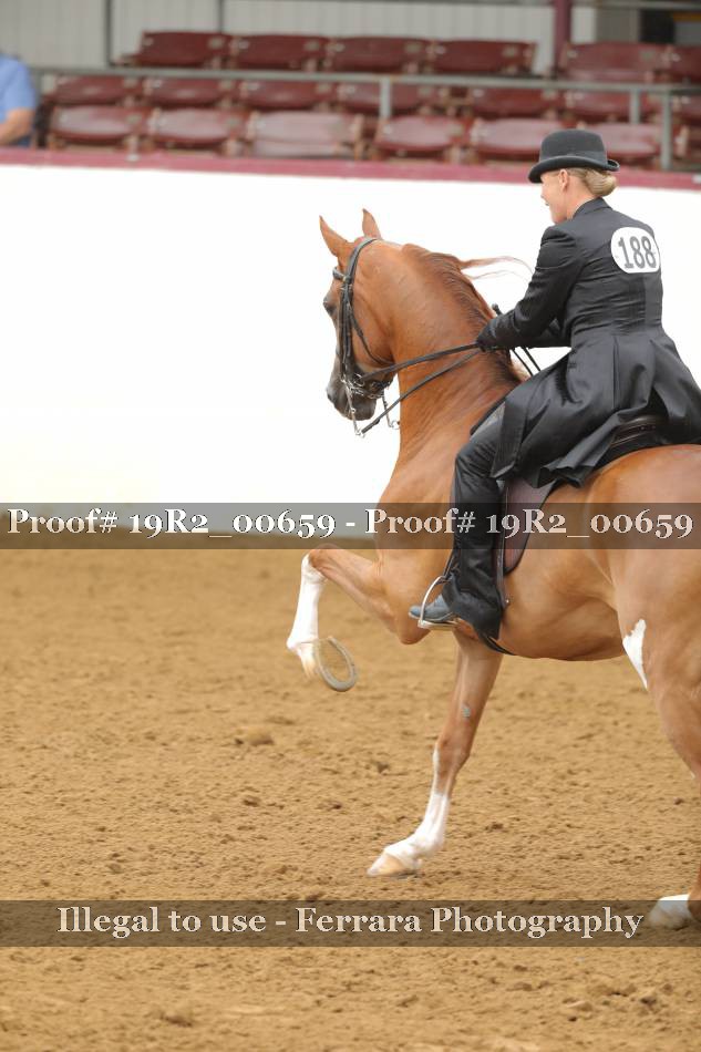 Proof 19R2_00659