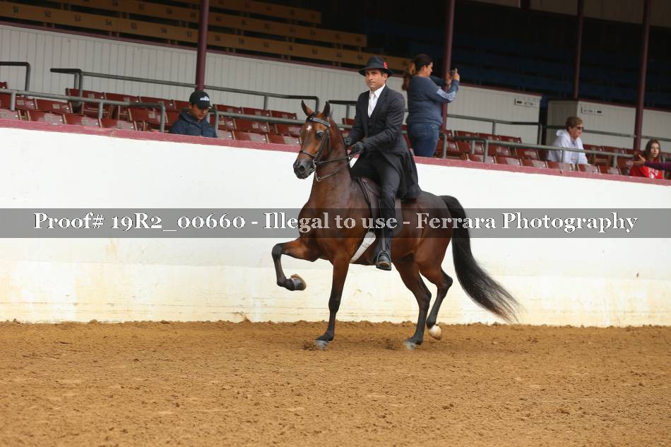 Proof 19R2_00660