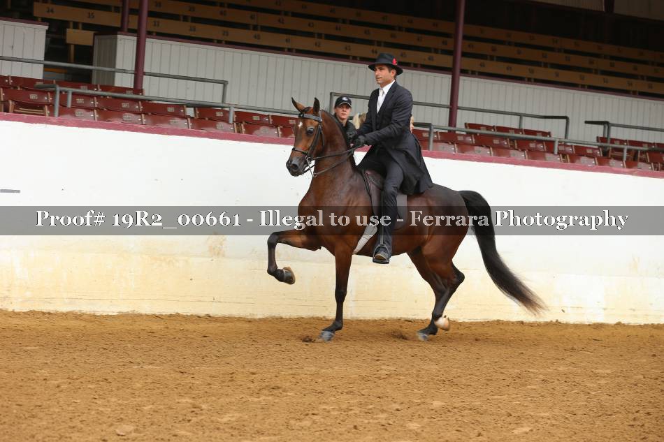 Proof 19R2_00661