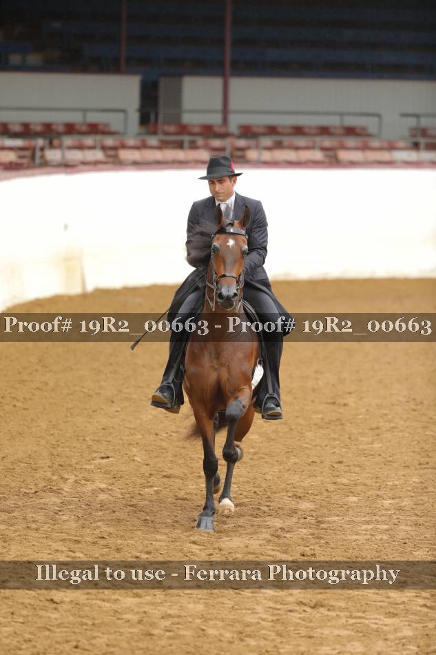 Proof 19R2_00663
