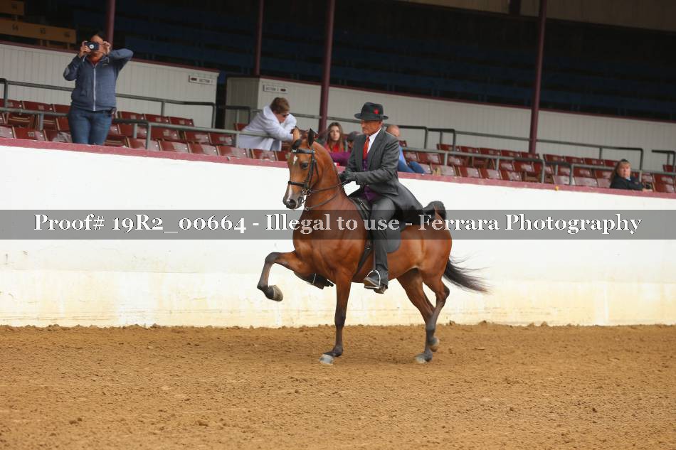 Proof 19R2_00664