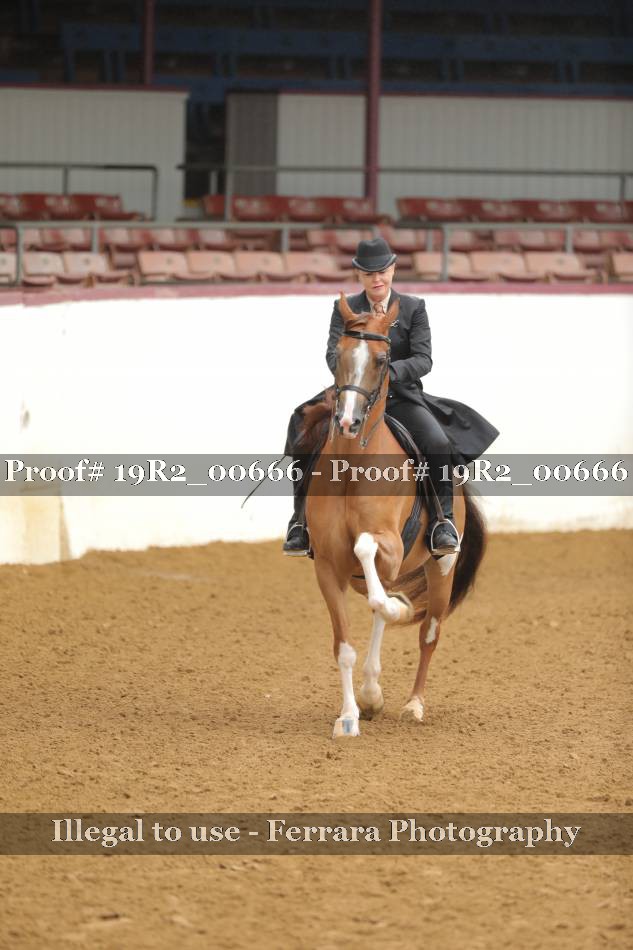 Proof 19R2_00666
