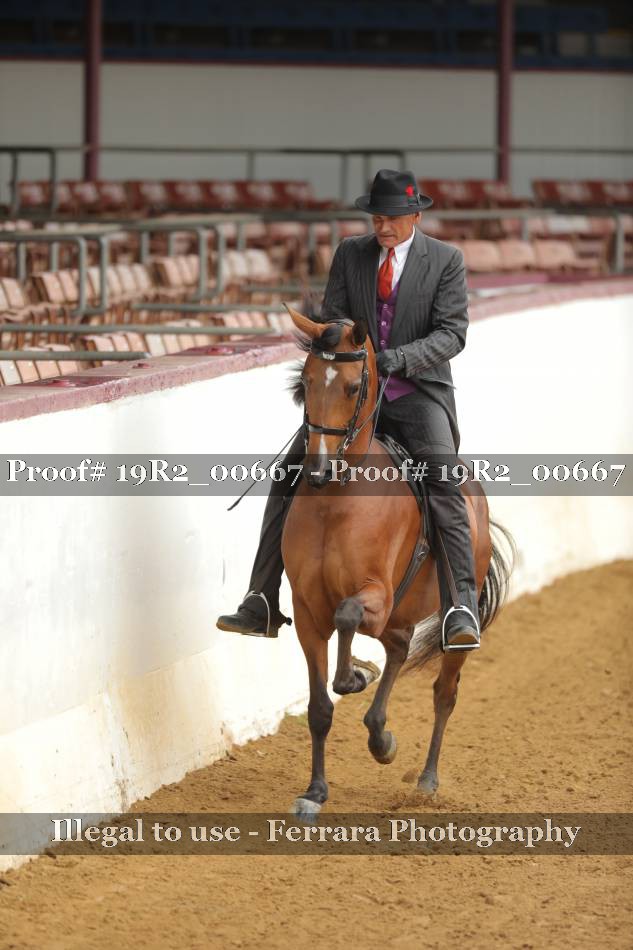 Proof 19R2_00667