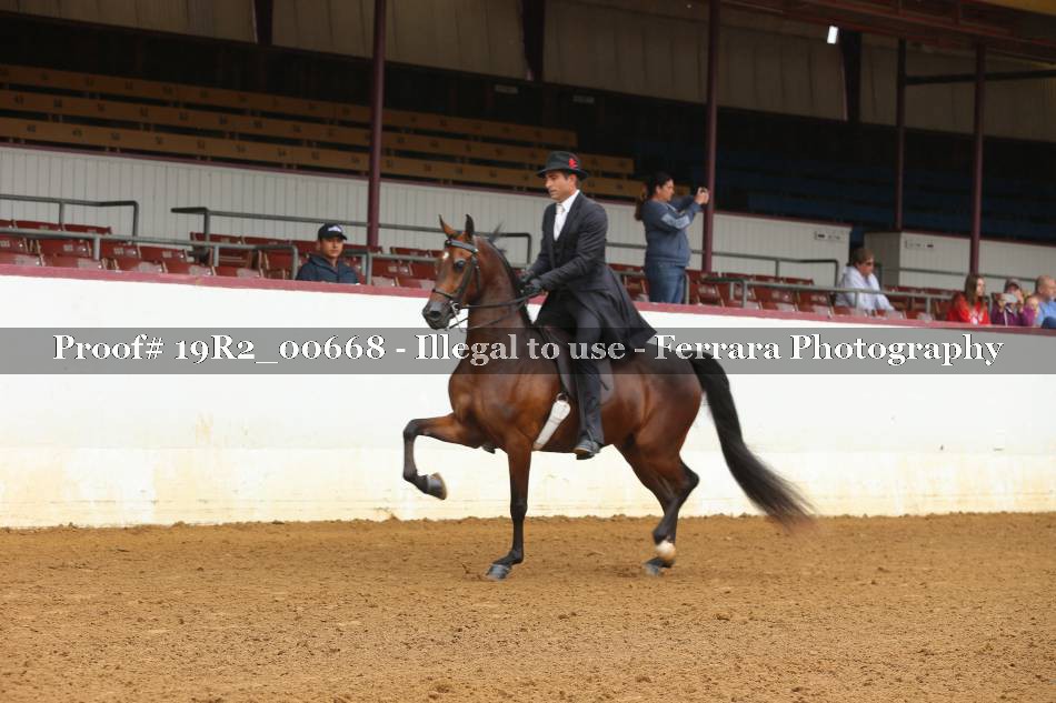 Proof 19R2_00668