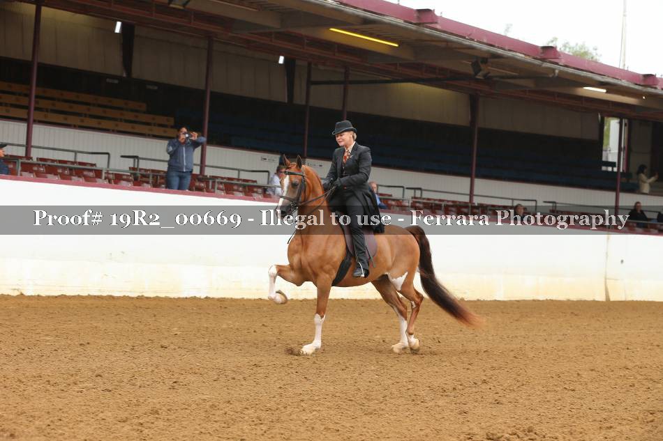 Proof 19R2_00669