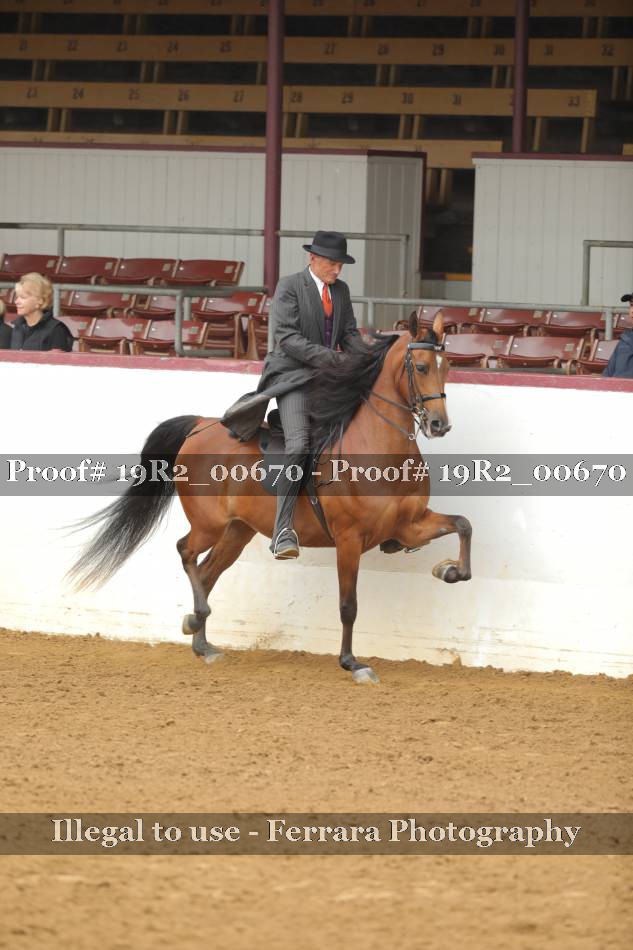 Proof 19R2_00670