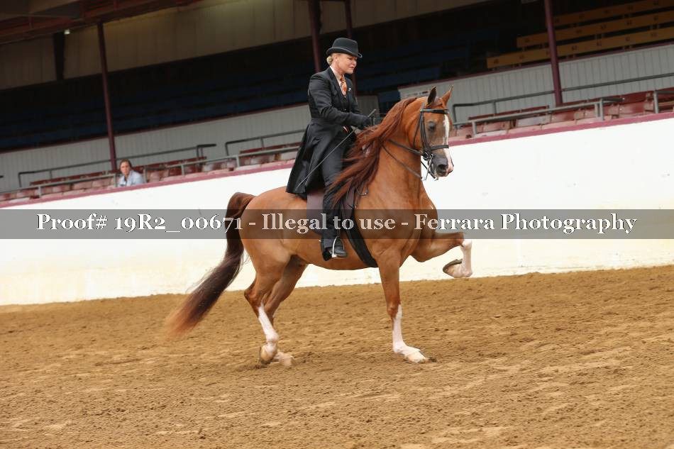 Proof 19R2_00671