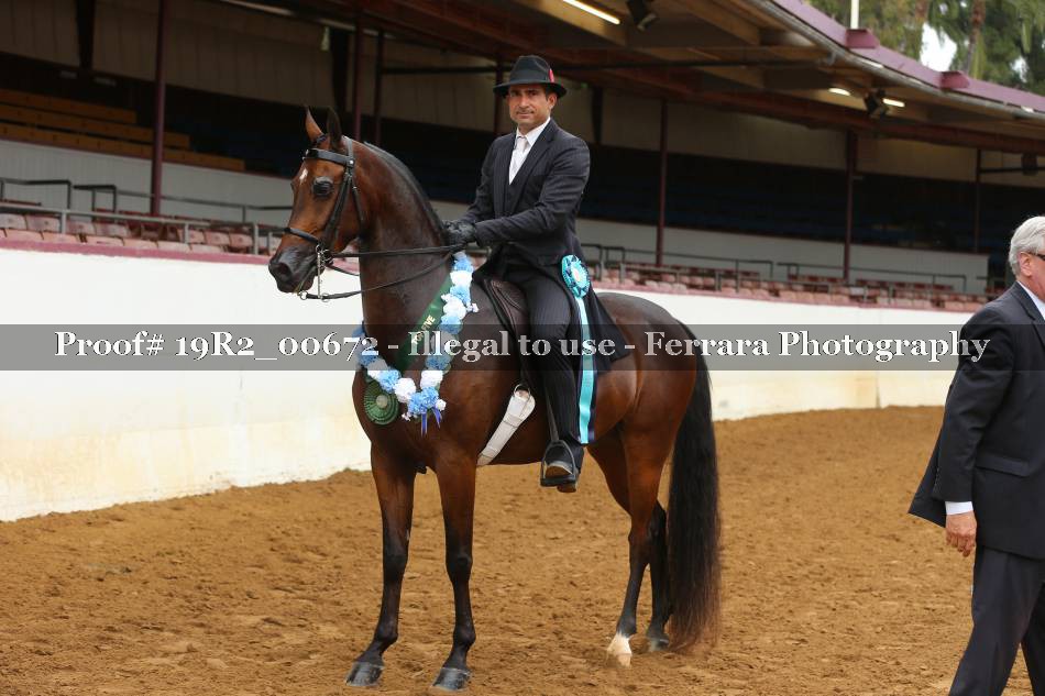 Proof 19R2_00672
