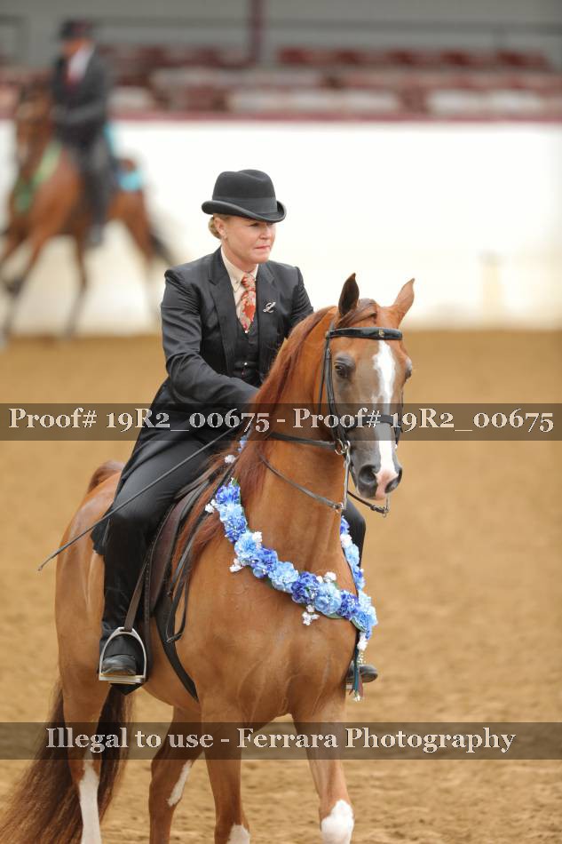 Proof 19R2_00675
