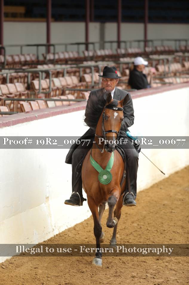 Proof 19R2_00677