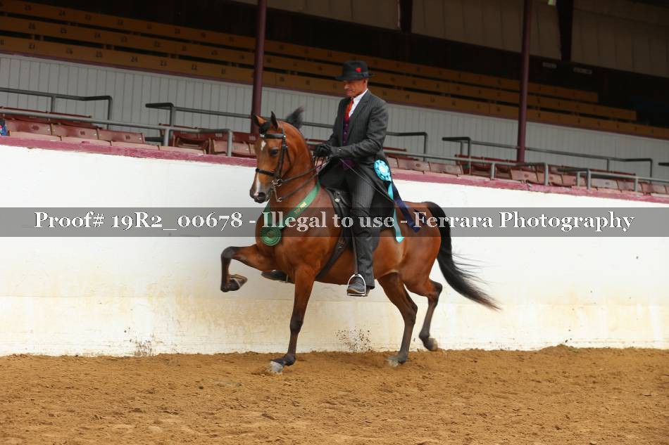 Proof 19R2_00678