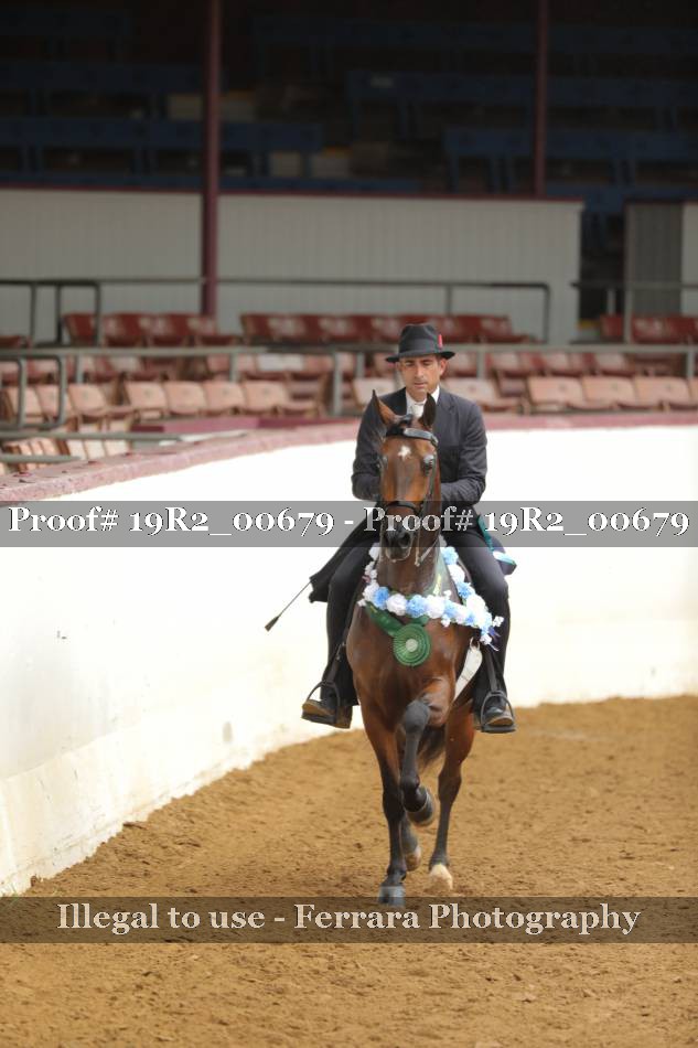 Proof 19R2_00679