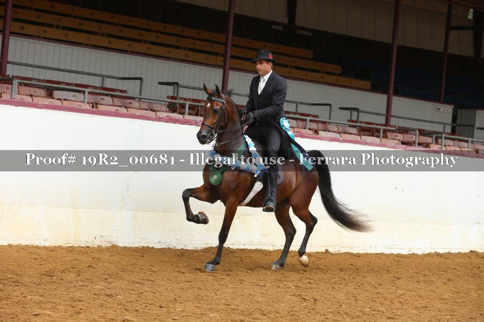 Proof 19R2_00681