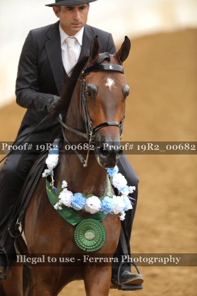 Proof 19R2_00682