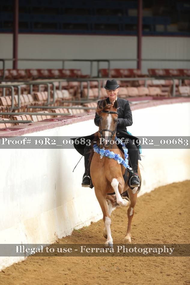 Proof 19R2_00683