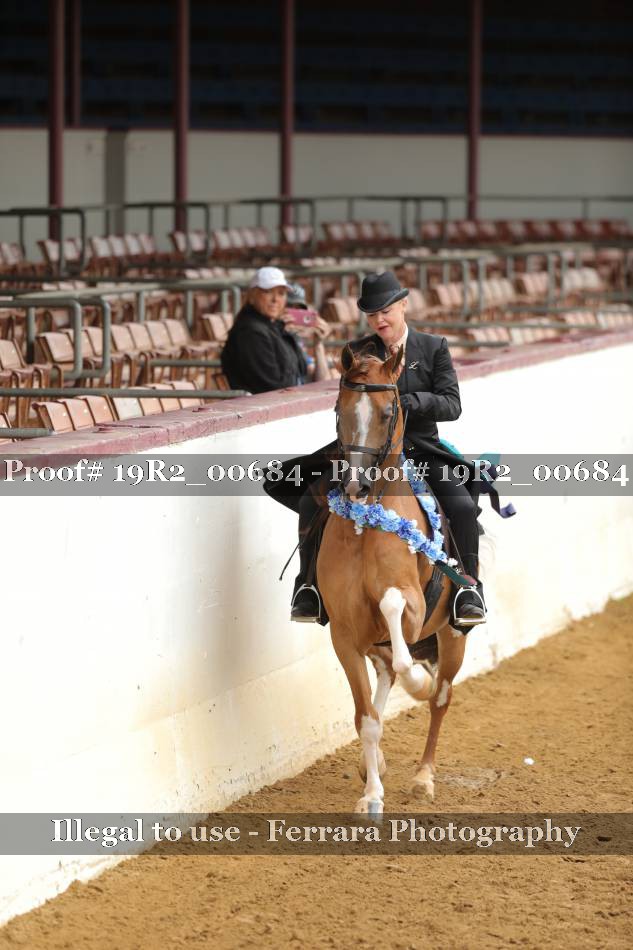 Proof 19R2_00684
