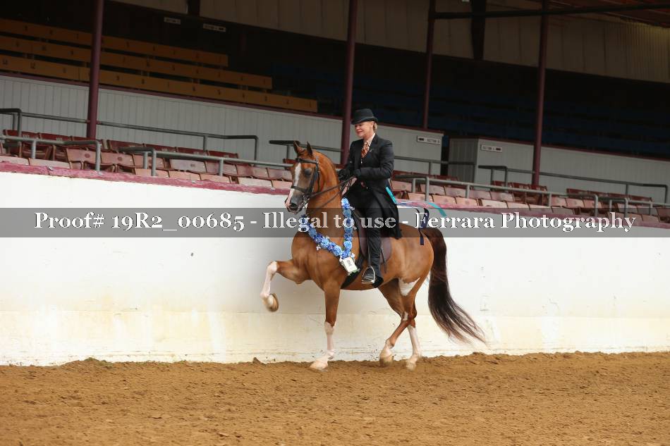 Proof 19R2_00685