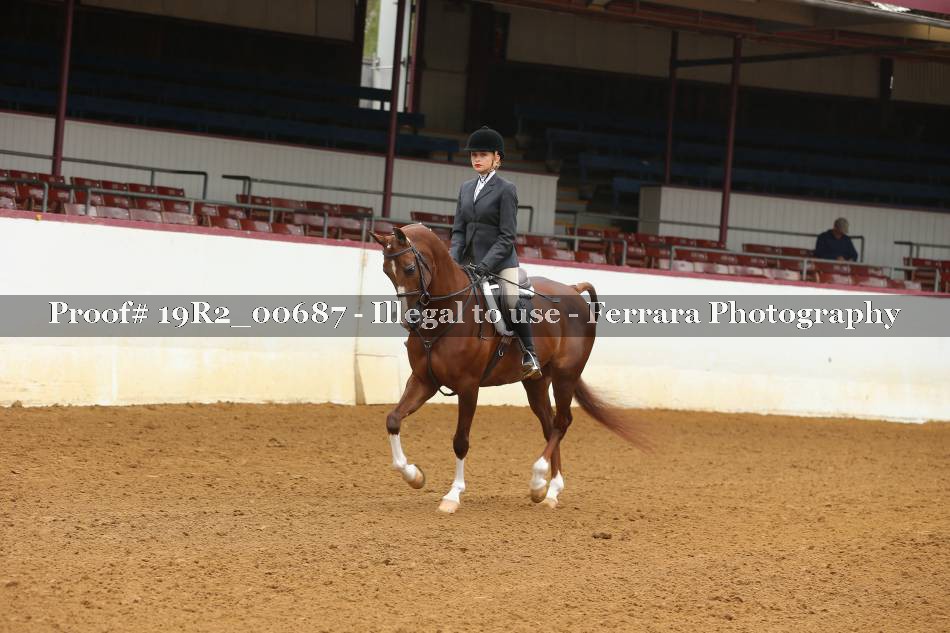 Proof 19R2_00687