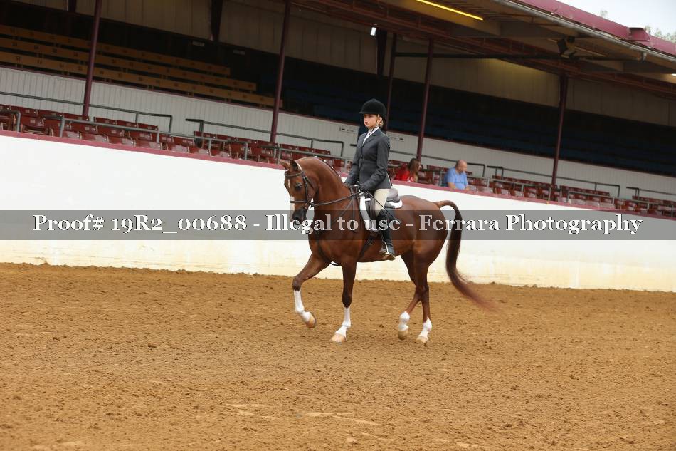 Proof 19R2_00688