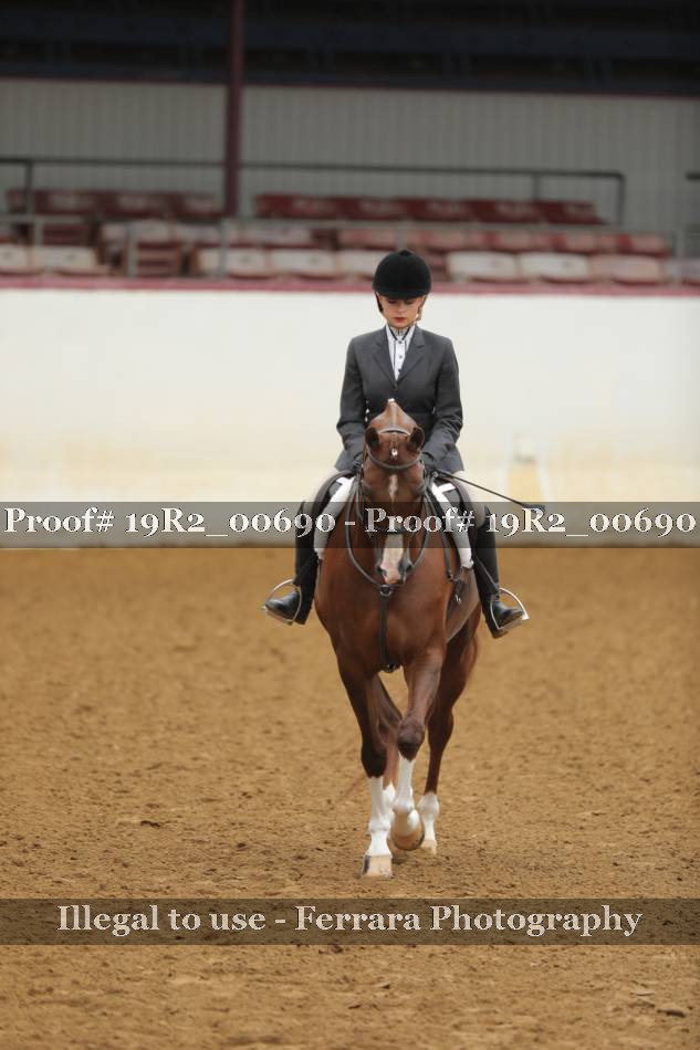 Proof 19R2_00690
