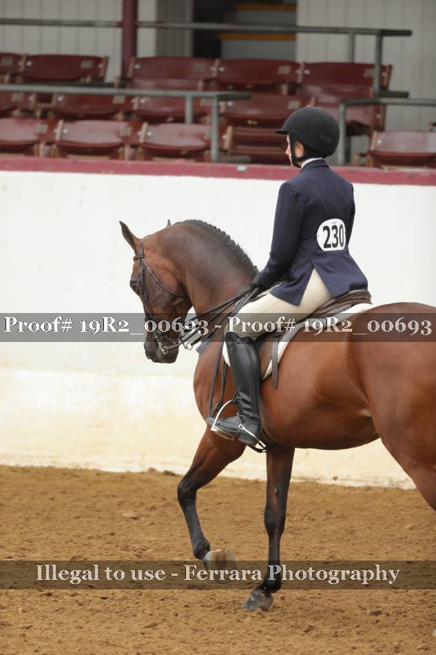 Proof 19R2_00693