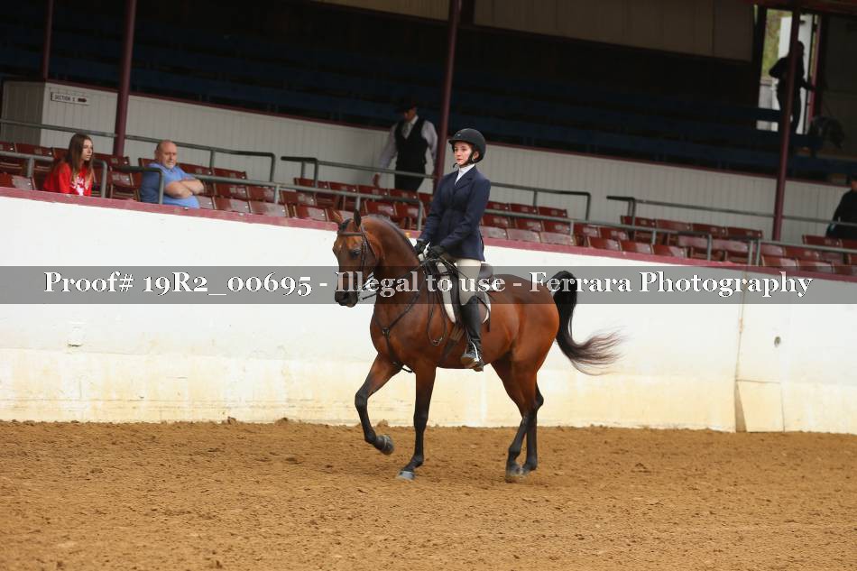 Proof 19R2_00695
