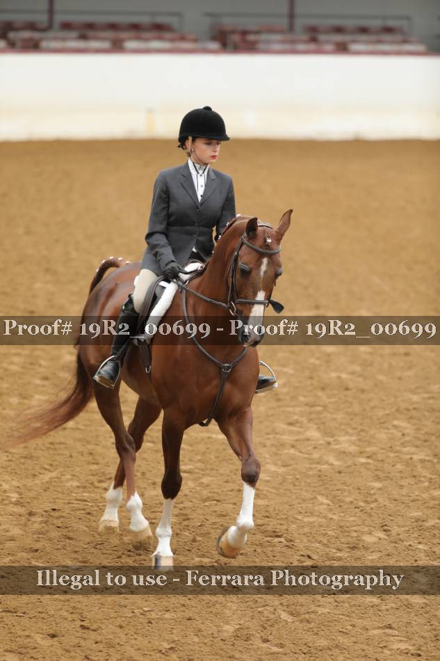 Proof 19R2_00699