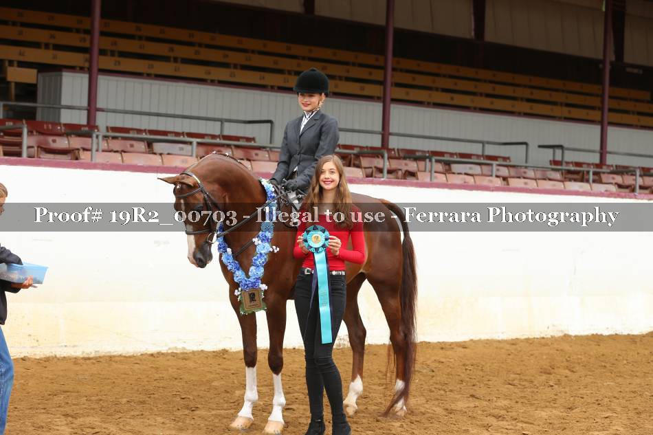 Proof 19R2_00703