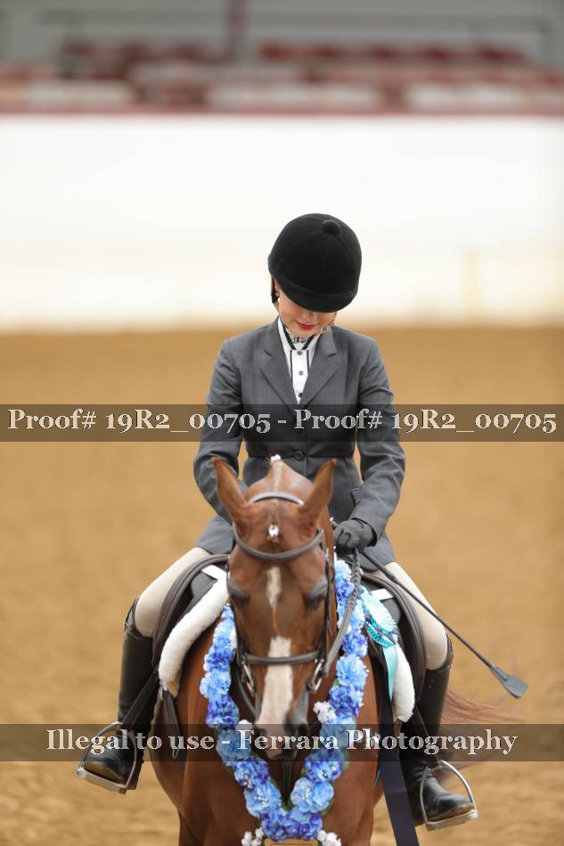Proof 19R2_00705