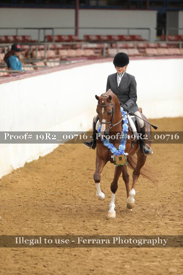 Proof 19R2_00716