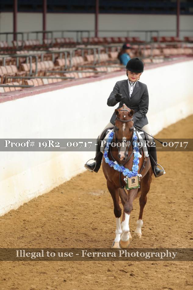 Proof 19R2_00717