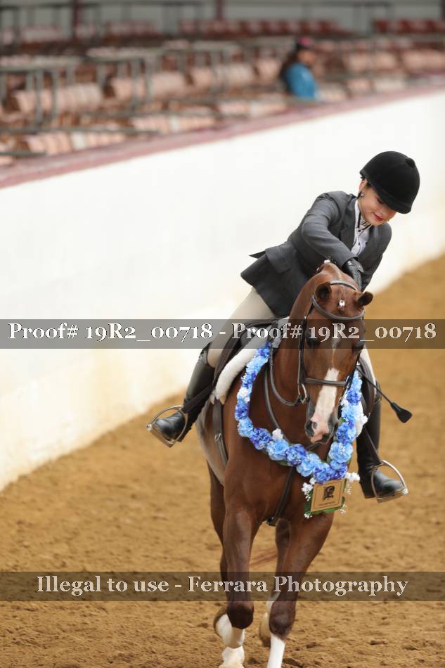 Proof 19R2_00718