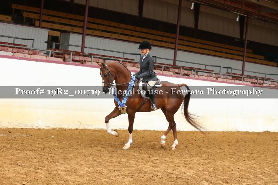 Proof 19R2_00719