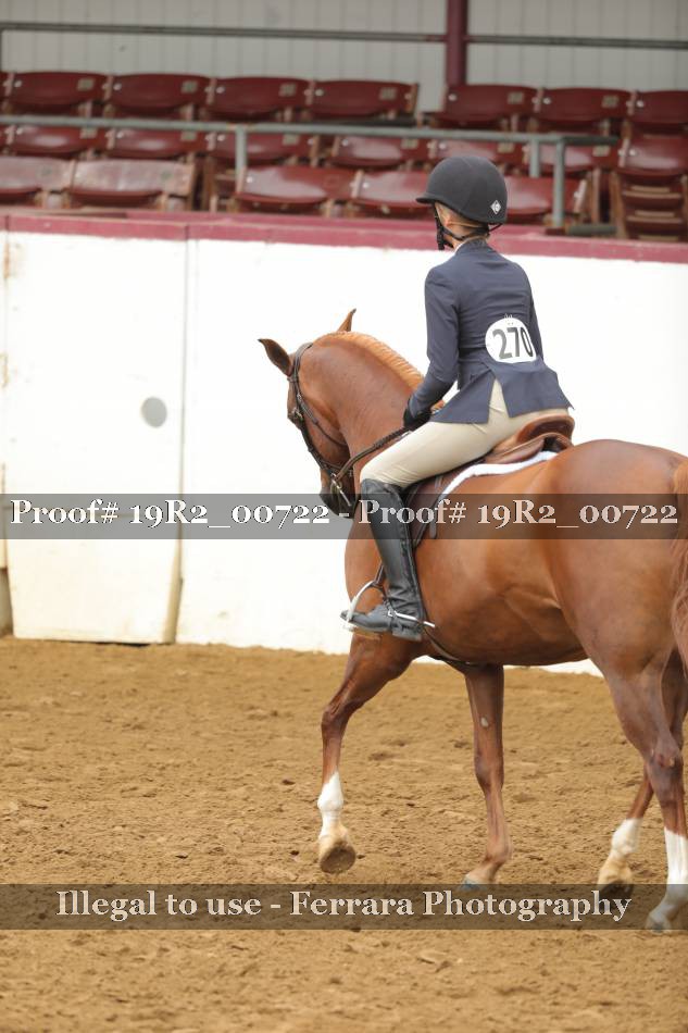 Proof 19R2_00722