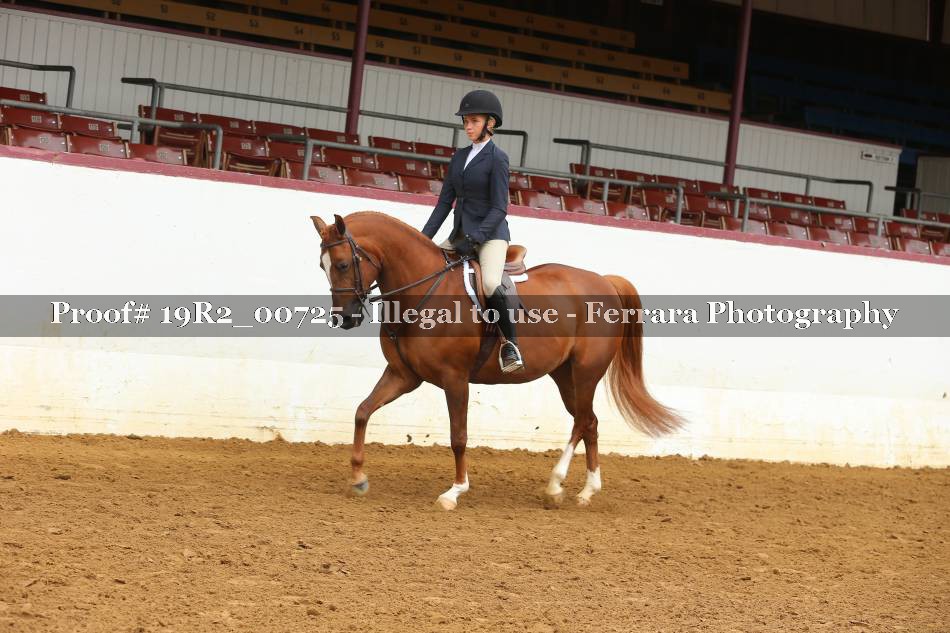 Proof 19R2_00725